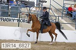 13r14_6827 proof