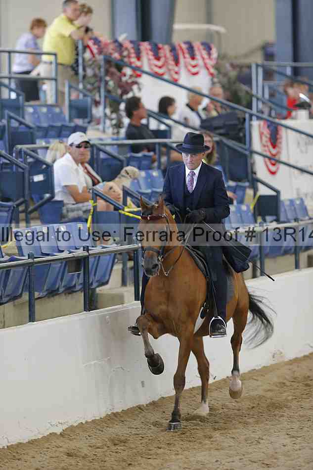 Proof 13r14_6828
