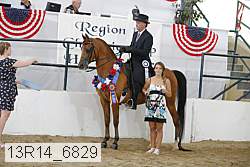 13r14_6829 proof