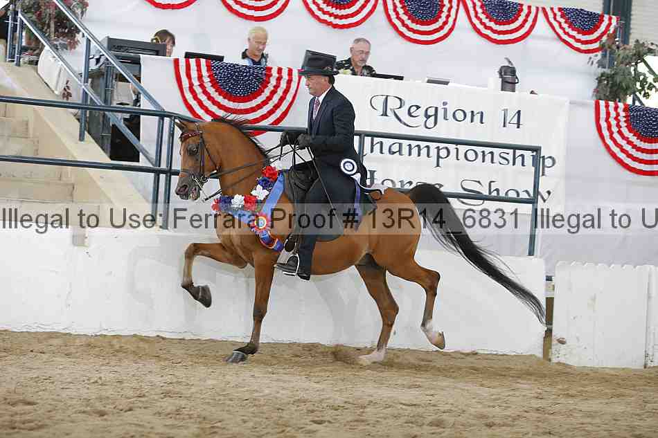 Proof 13r14_6831