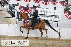 13r14_6831 proof