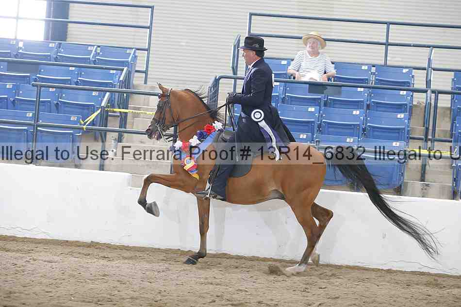 Proof 13r14_6832