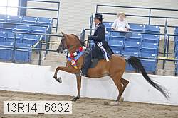 13r14_6832 proof