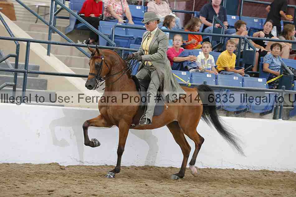 Proof 13r14_6835