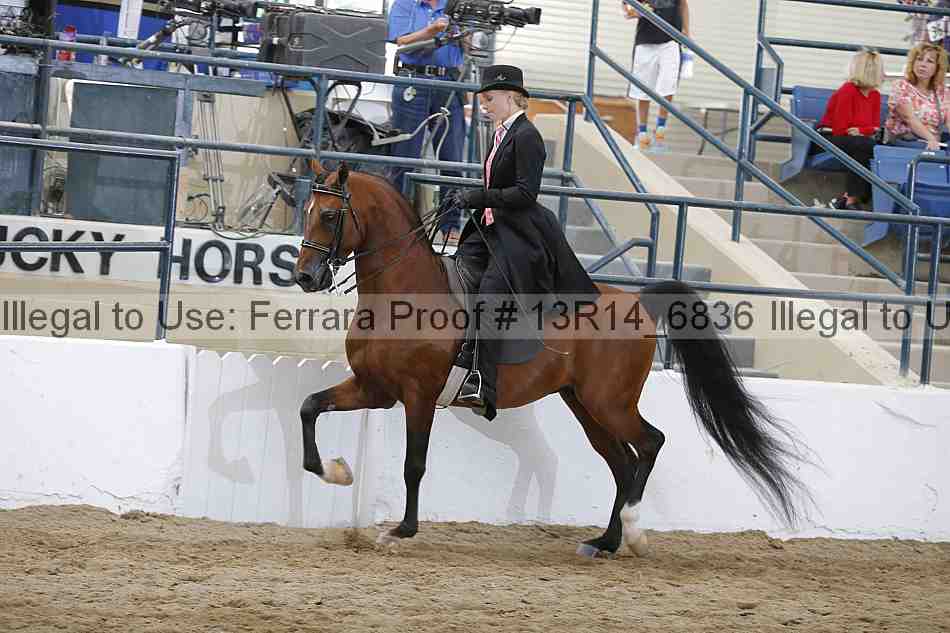Proof 13r14_6836
