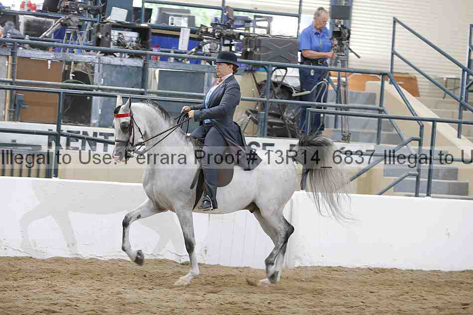 Proof 13r14_6837