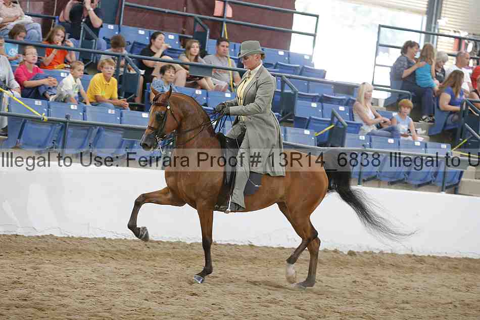 Proof 13r14_6838