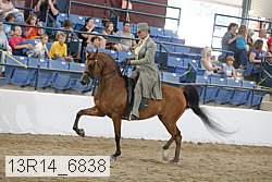 13r14_6838 proof