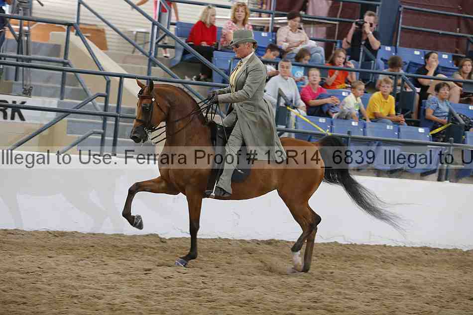 Proof 13r14_6839