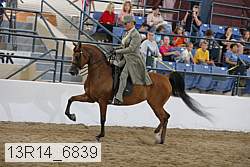 13r14_6839 proof