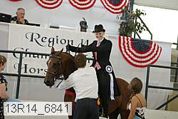13r14_6841 proof