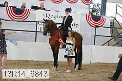 13r14_6843 proof