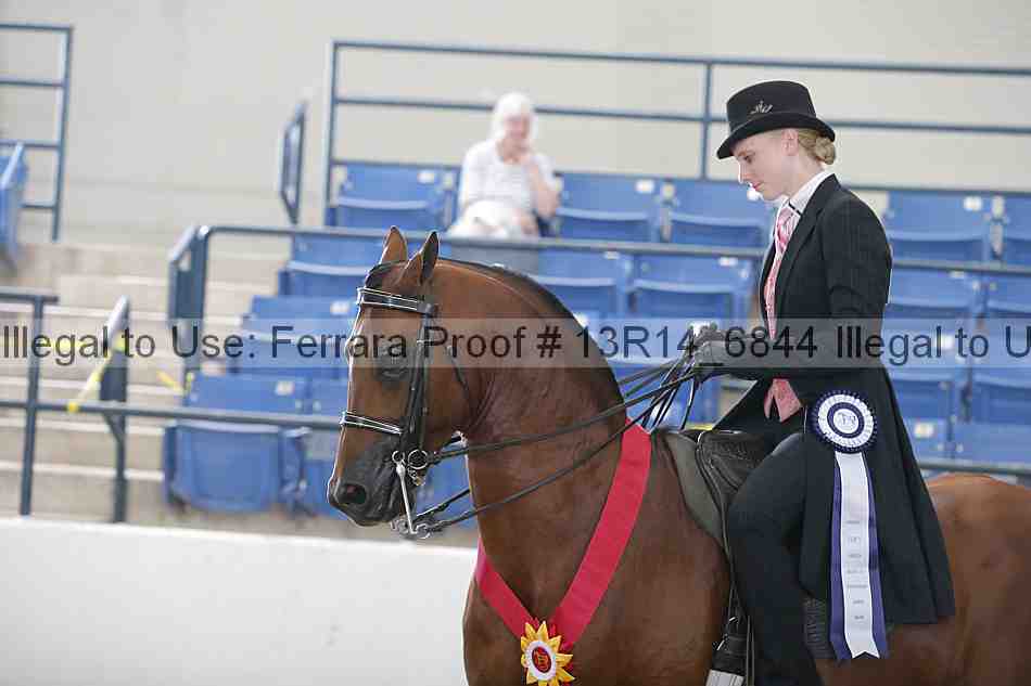 Proof 13r14_6844