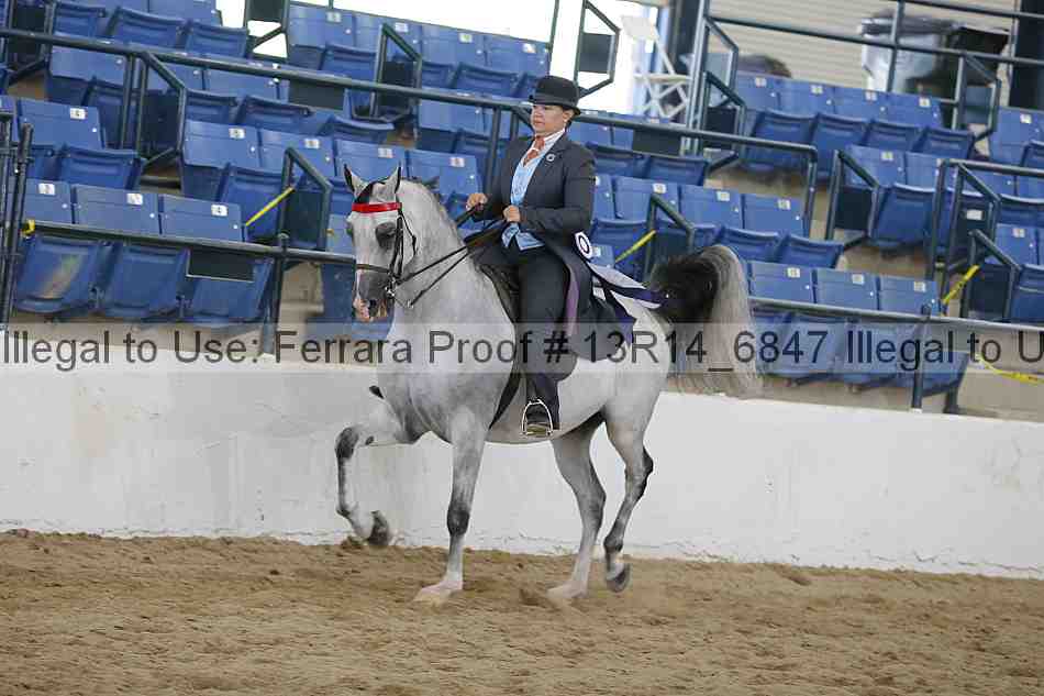 Proof 13r14_6847