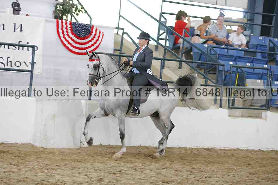 Proof 13r14_6848