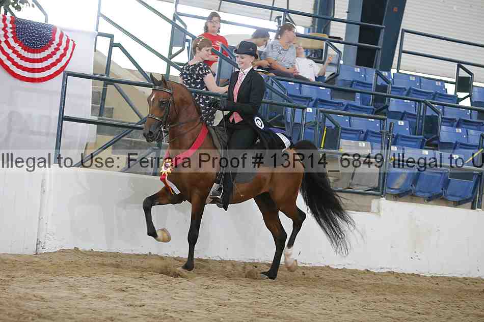 Proof 13r14_6849