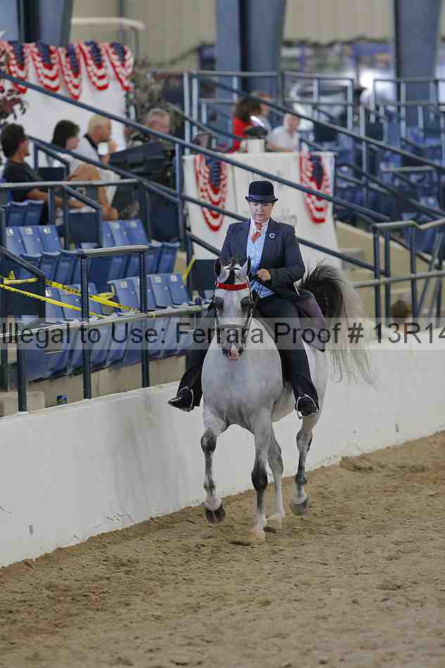 Proof 13r14_6850