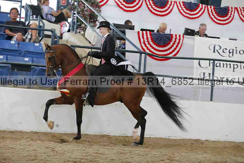 Proof 13r14_6852
