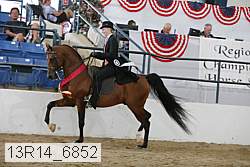 13r14_6852 proof