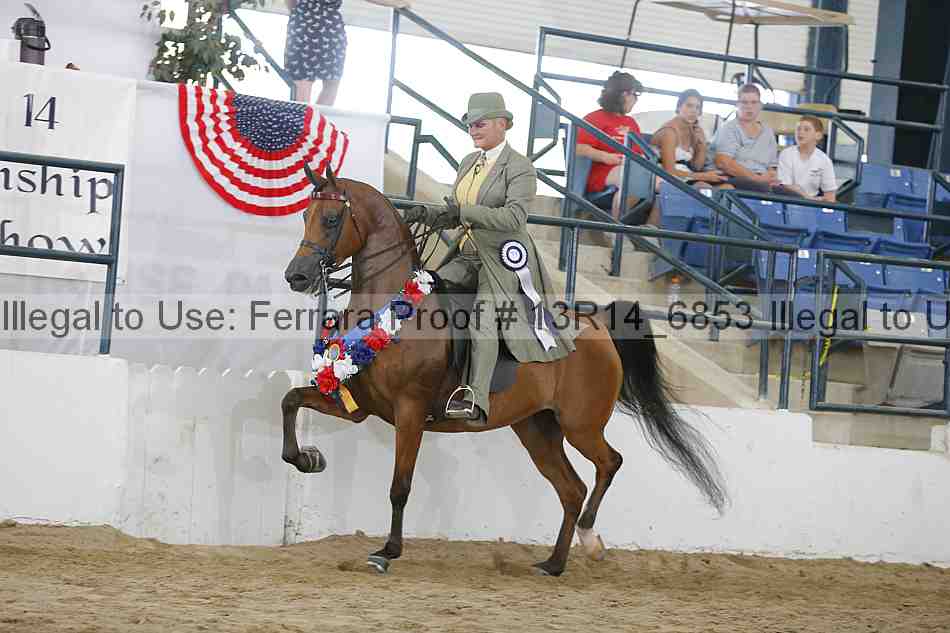 Proof 13r14_6853