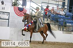 13r14_6853 proof
