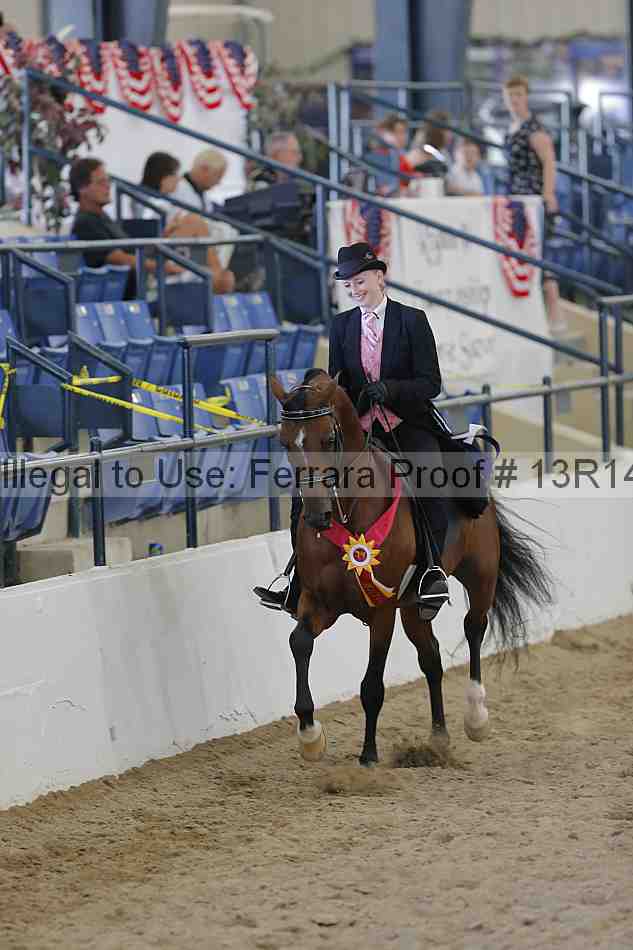 Proof 13r14_6854
