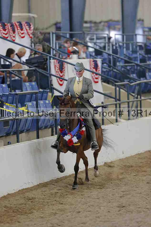 Proof 13r14_6855