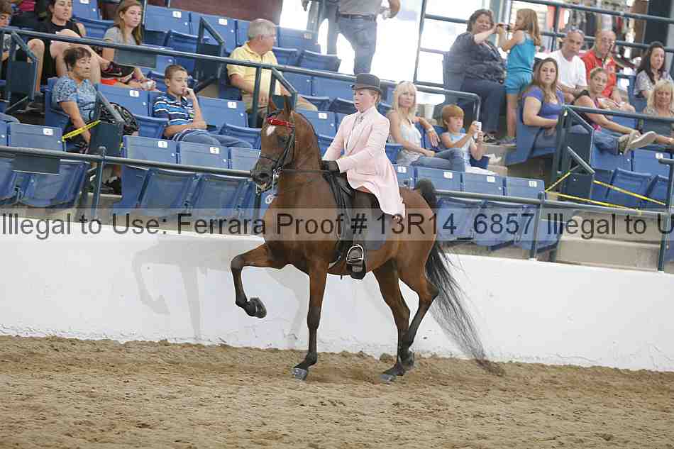 Proof 13r14_6857