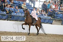 13r14_6857 proof