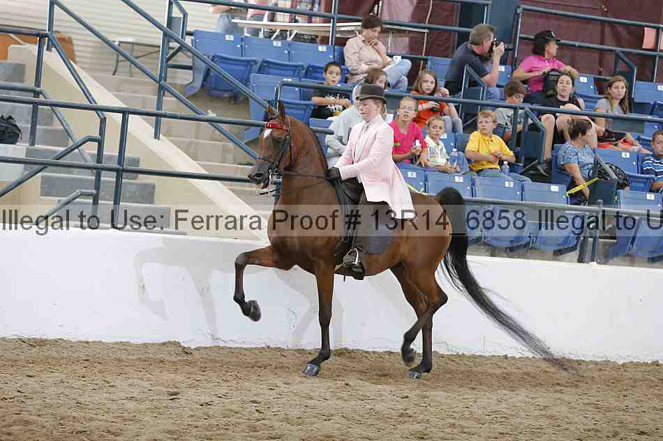 Proof 13r14_6858