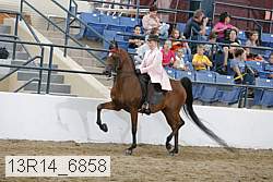 13r14_6858 proof