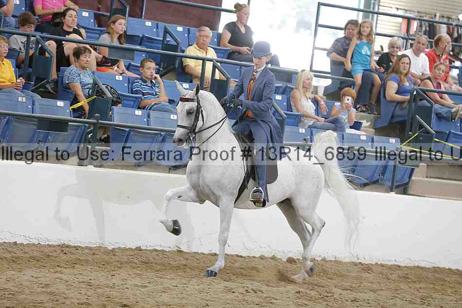 Proof 13r14_6859