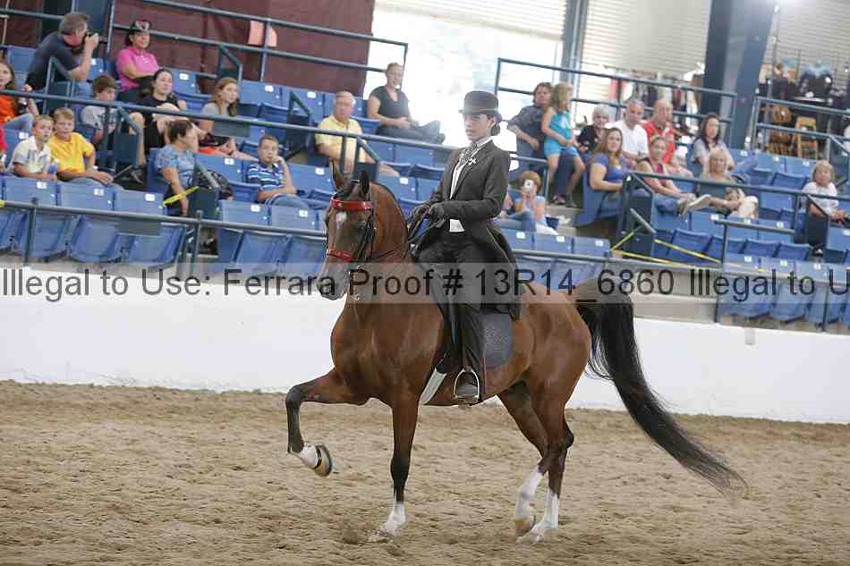 Proof 13r14_6860