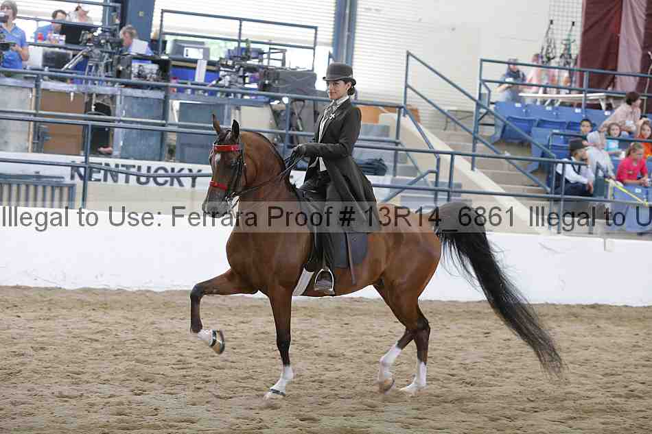 Proof 13r14_6861