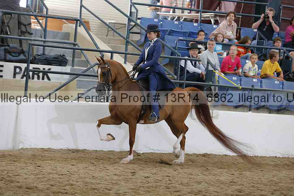 Proof 13r14_6862