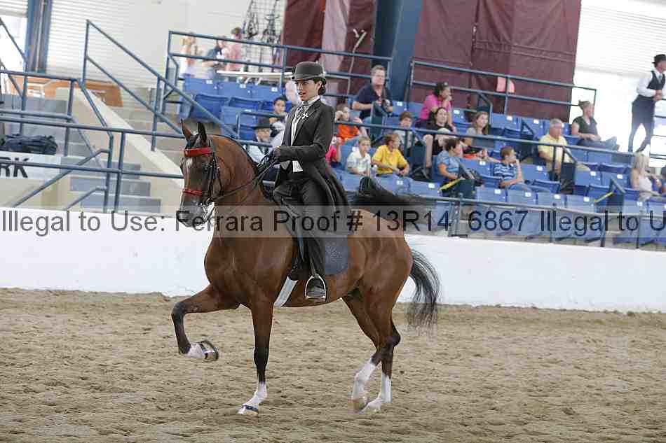Proof 13r14_6867