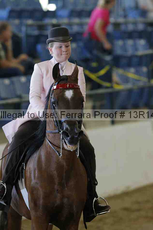 Proof 13r14_6868