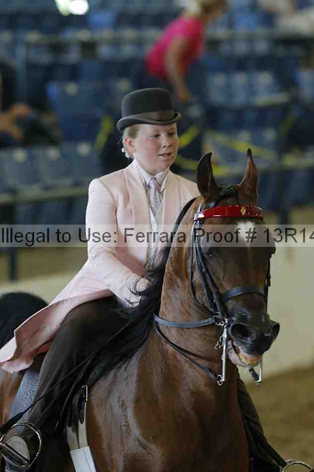 Proof 13r14_6869
