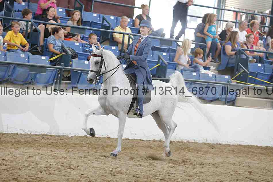 Proof 13r14_6870