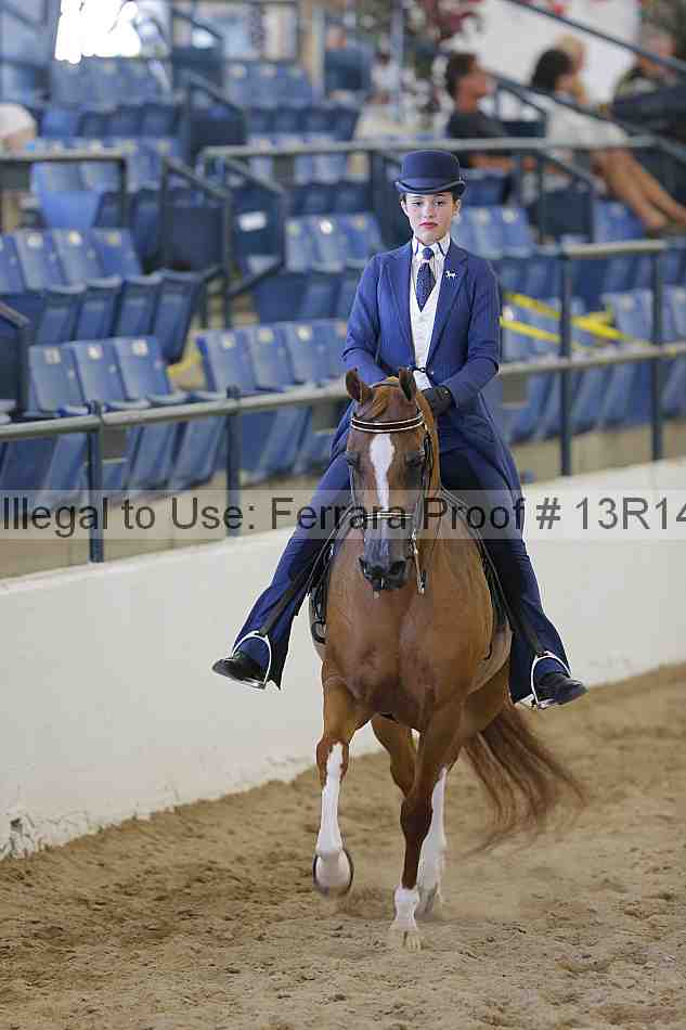 Proof 13r14_6873