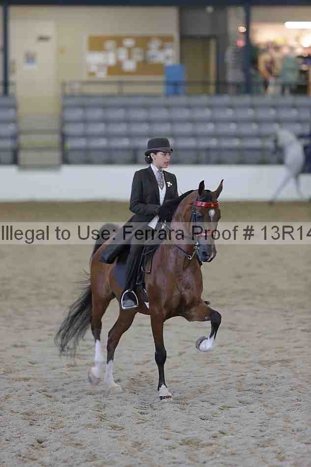 Proof 13r14_6874