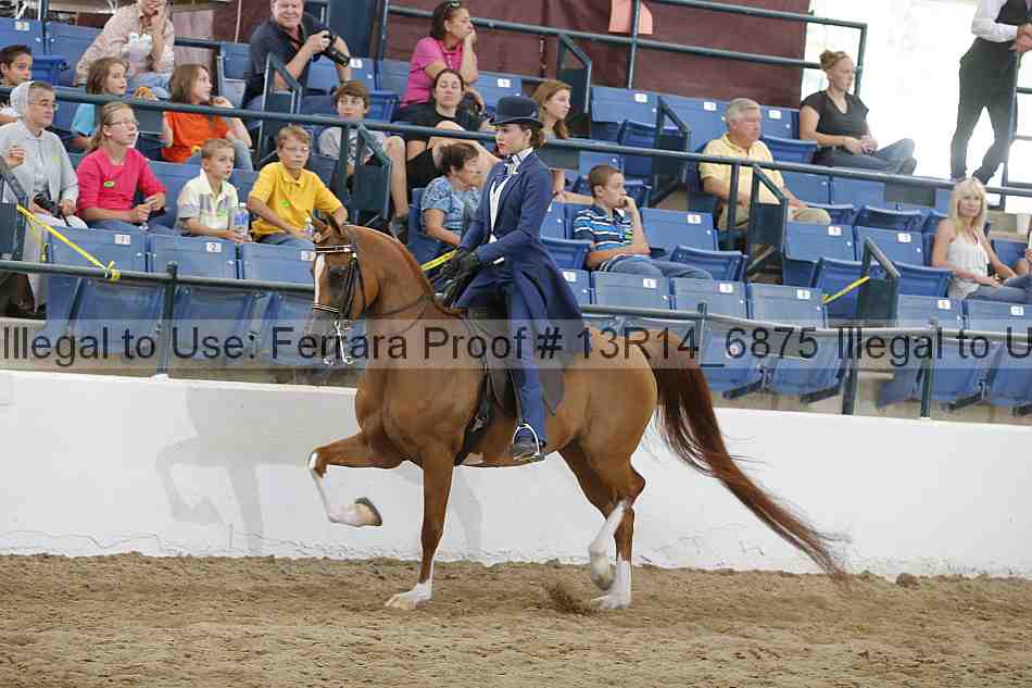 Proof 13r14_6875
