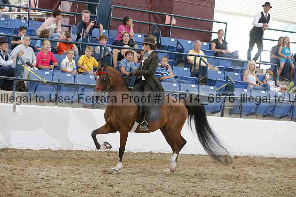 Proof 13r14_6876