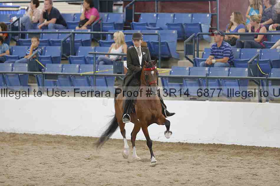 Proof 13r14_6877