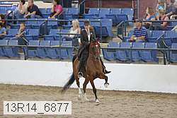 13r14_6877 proof