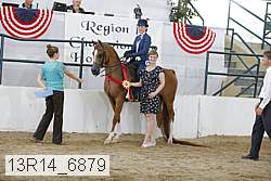 13r14_6879 proof