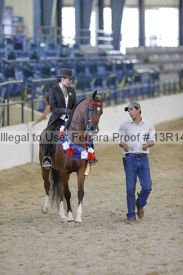 Proof 13r14_6885
