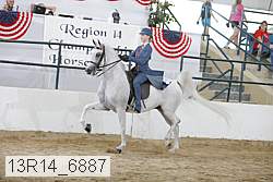 13r14_6887 proof