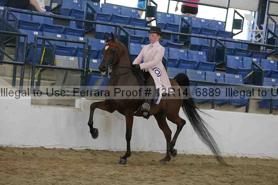 Proof 13r14_6889