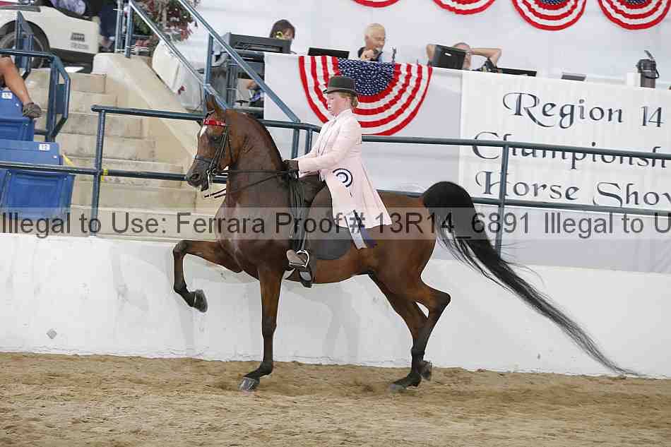 Proof 13r14_6891